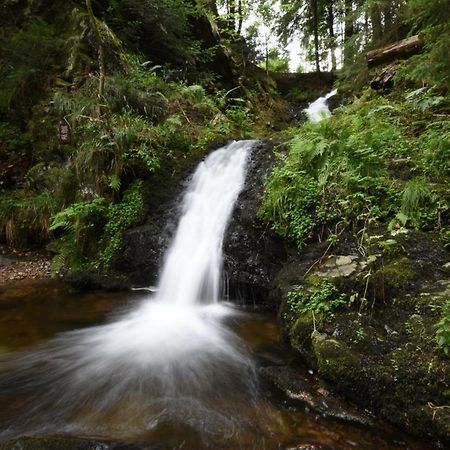 Appartement Eichhornchen - Zentral Todtmoos Schwarzwald Black Forest Екстер'єр фото