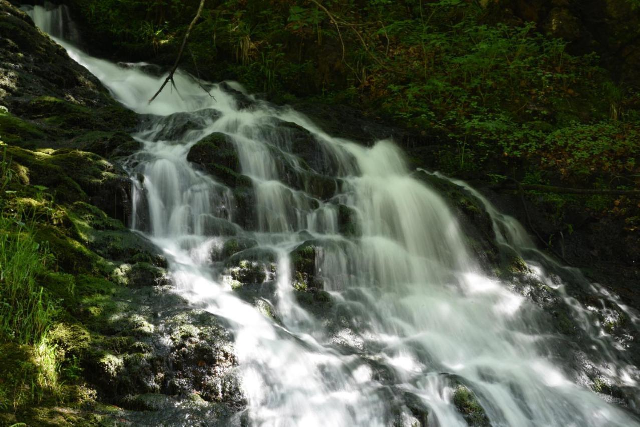 Appartement Eichhornchen - Zentral Todtmoos Schwarzwald Black Forest Екстер'єр фото