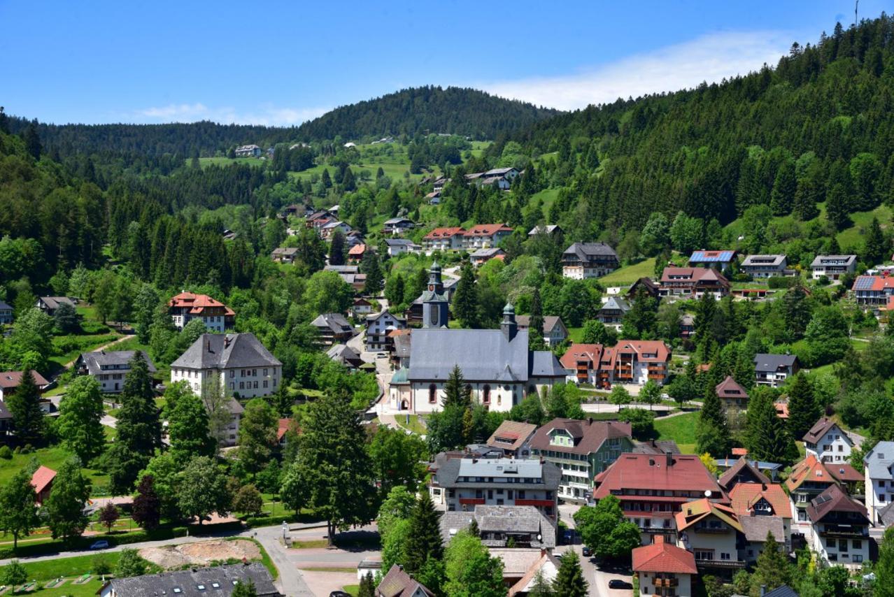 Appartement Eichhornchen - Zentral Todtmoos Schwarzwald Black Forest Екстер'єр фото